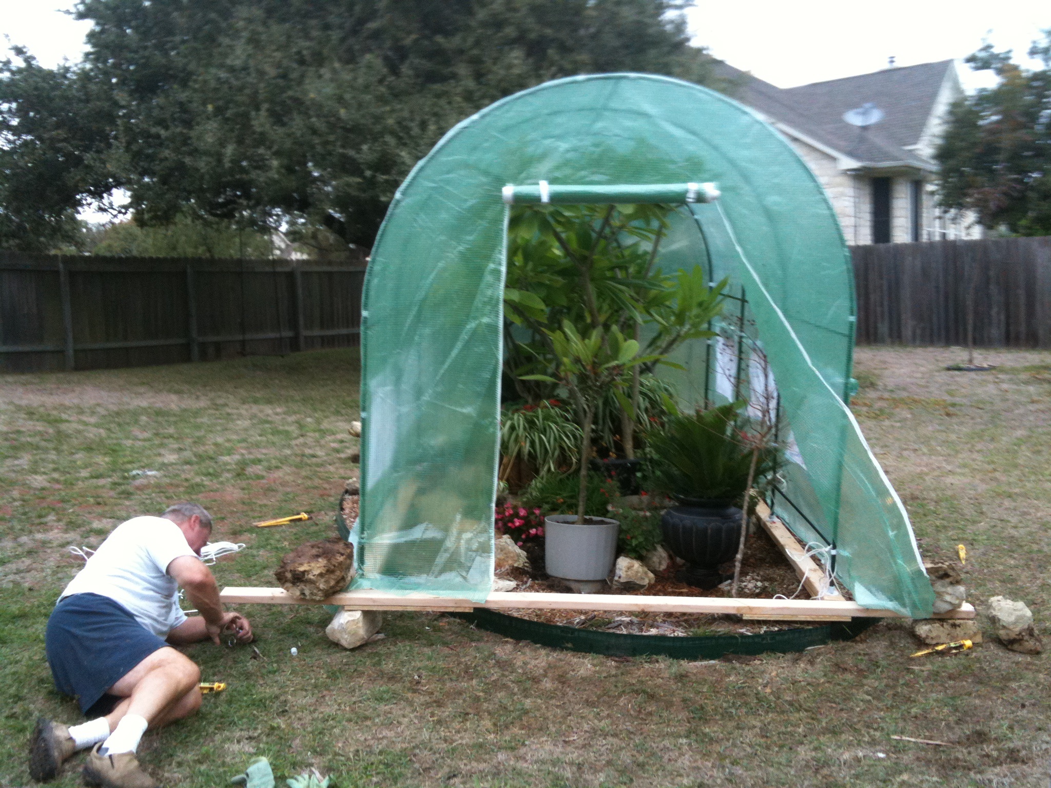 2009-11-29-03 GREENHOUSE.jpg